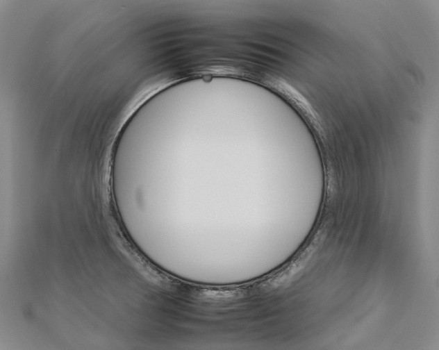 X0000112931378200908241044