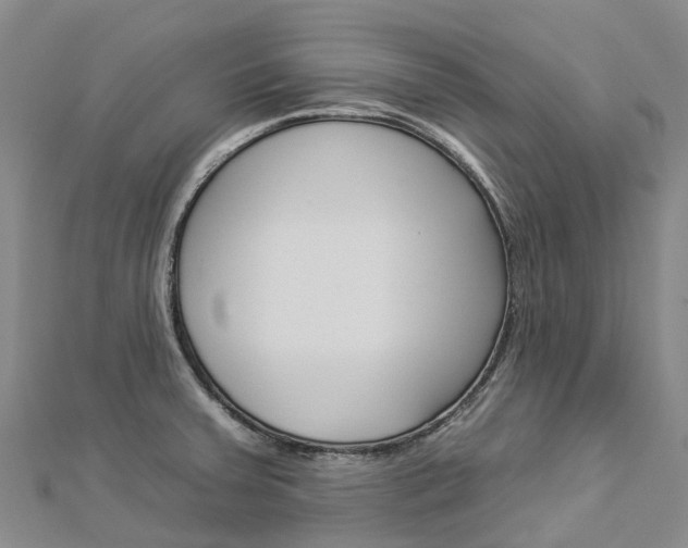 X0000112931379200908241044