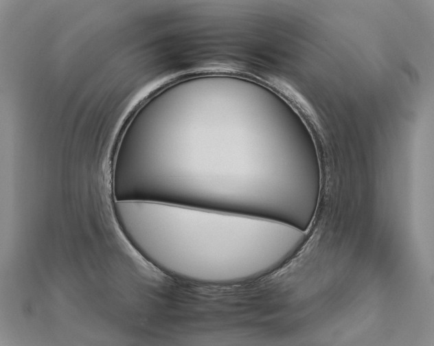 X0000112931380200908241044