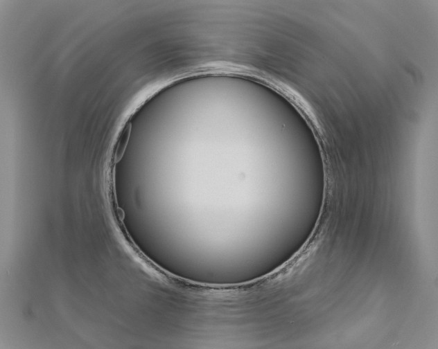 X0000112931381200908241044