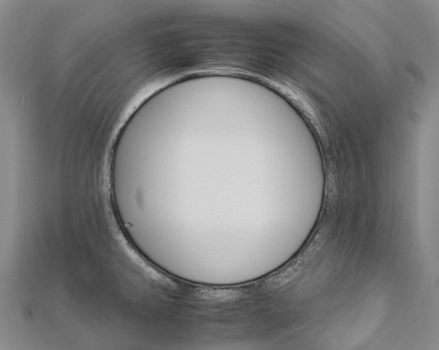 X0000112931382200908241044