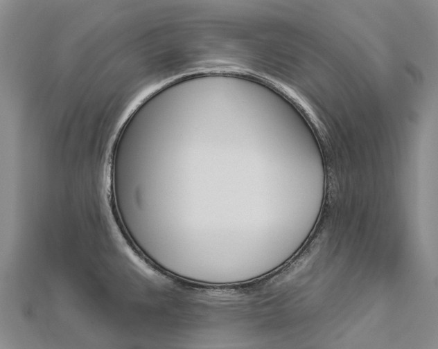 X0000112931383200908241044