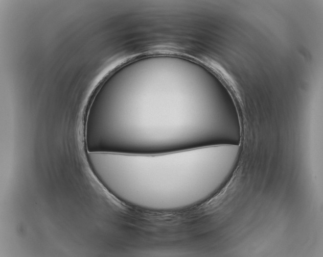 X0000112931384200908241044