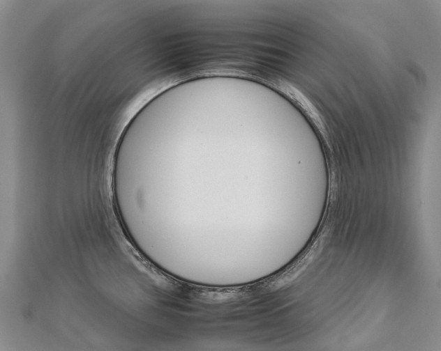 X0000112931386200908241044
