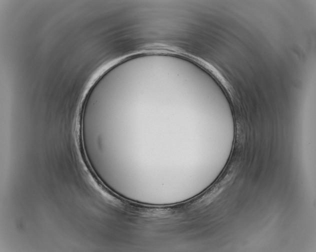 X0000112931387200908241044
