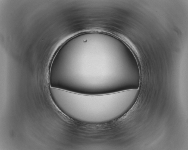 X0000112931388200908241044