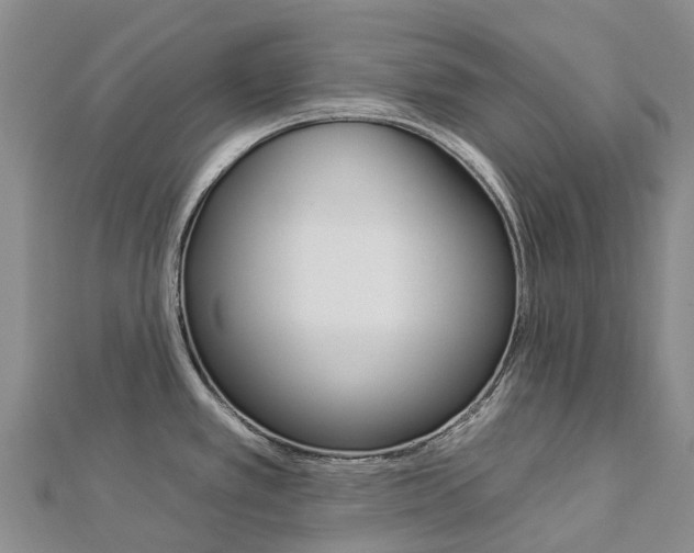 X0000112931389200908241044