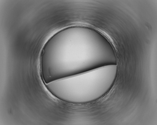 X0000112931391200908241044