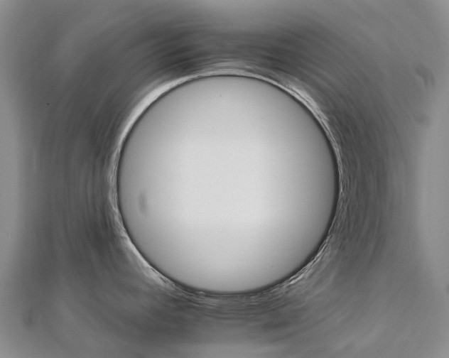 X0000112931392200908241044