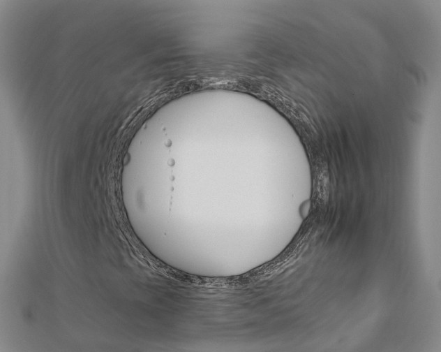 X0000112931393200908241043
