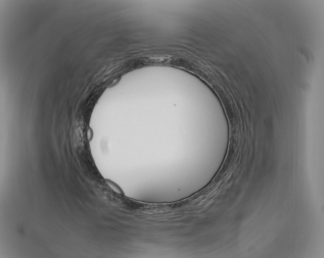 X0000112931394200908241043