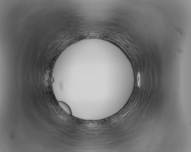 X0000112931395200908241043