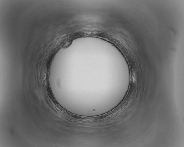 X0000112931396200908241043
