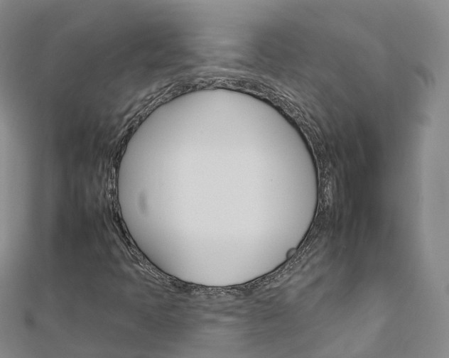 X0000112931397200908241043