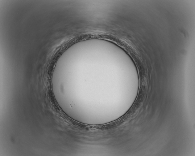 X0000112931398200908241043