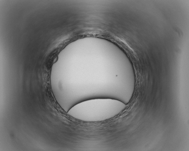 X0000112931399200908241043