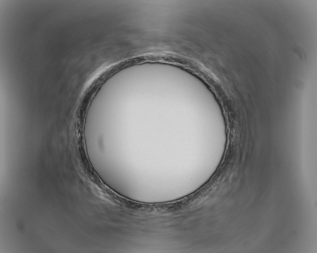 X0000112931400200908241043
