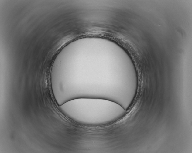 X0000112931401200908241043