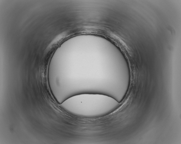 X0000112931403200908241043