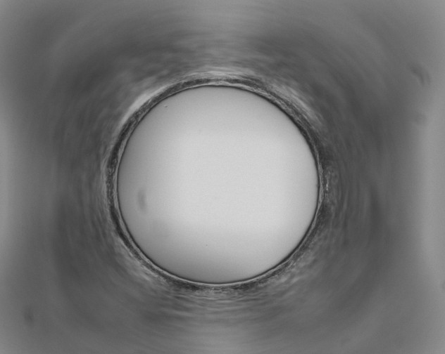 X0000112931404200908241043