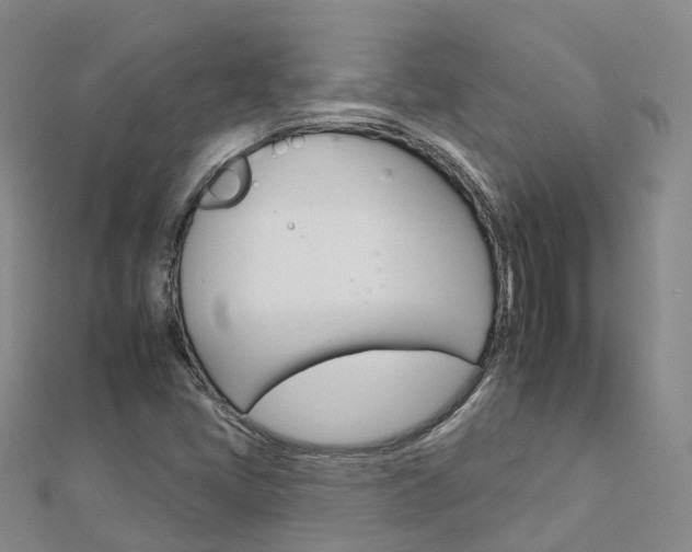 X0000112931405200908241043