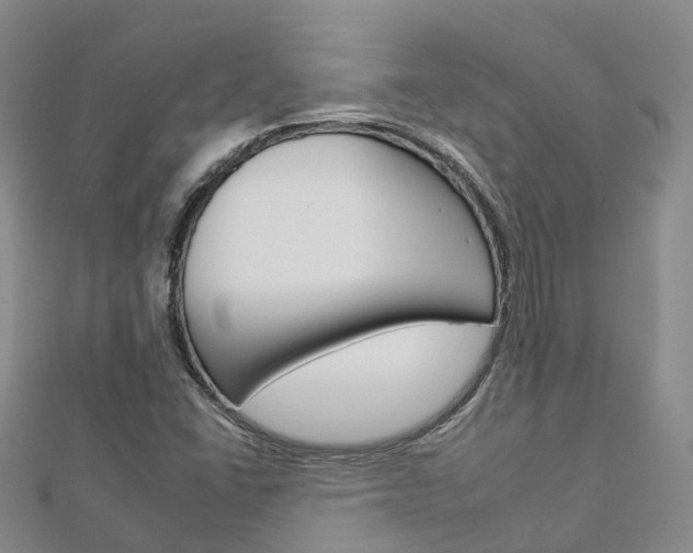 X0000112931406200908241043