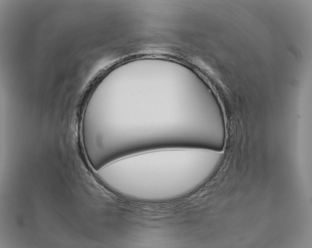 X0000112931408200908241043
