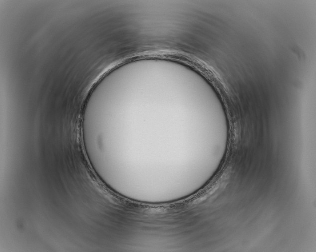 X0000112931409200908241043