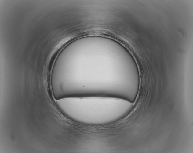X0000112931410200908241043