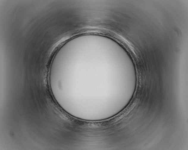 X0000112931411200908241043