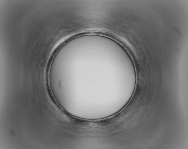 X0000112931412200908241043
