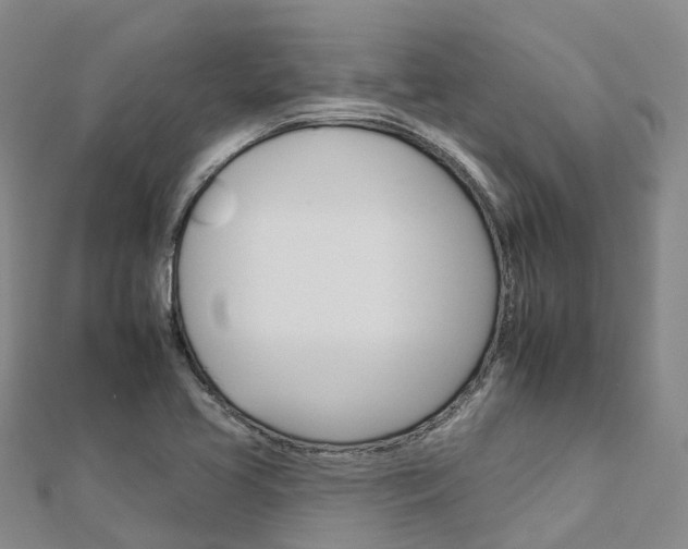 X0000112931413200908241043