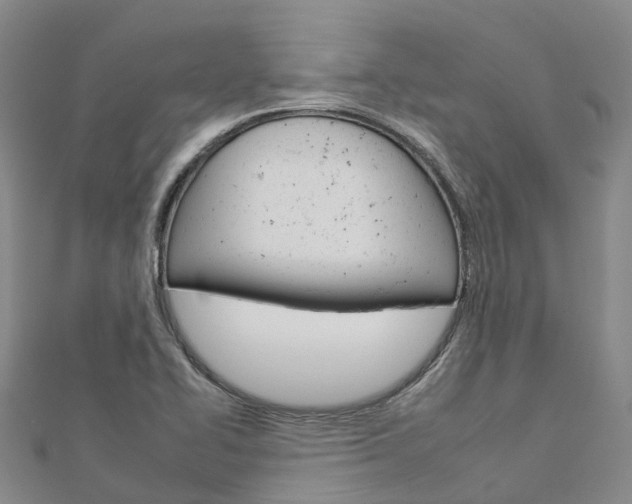 X0000112931414200908241043