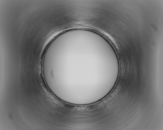 X0000112931415200908241043