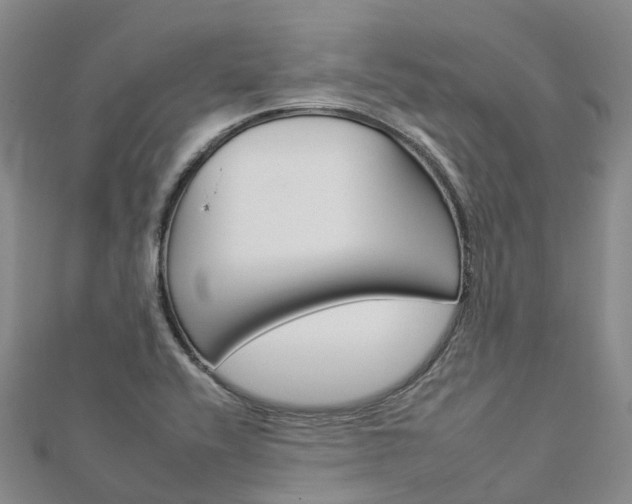 X0000112931416200908241043