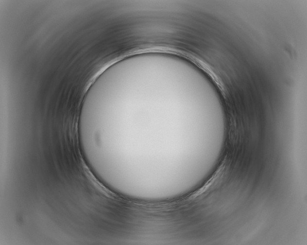 X0000112931417200908241043
