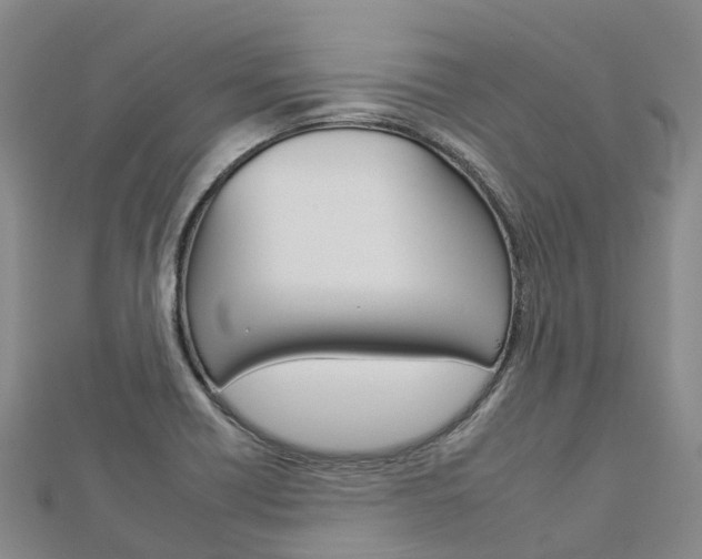 X0000112931418200908241043