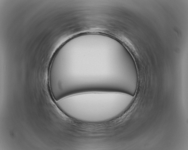 X0000112931420200908241043