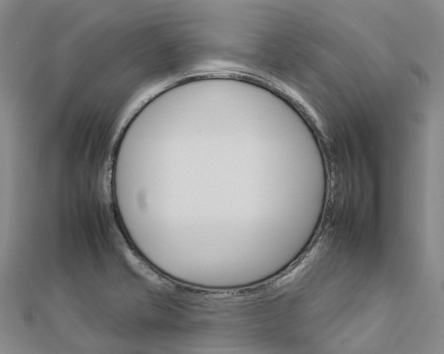 X0000112931421200908241043