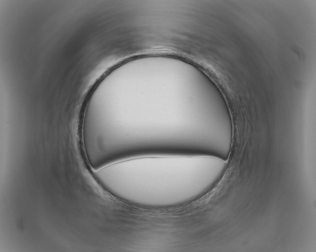X0000112931422200908241043