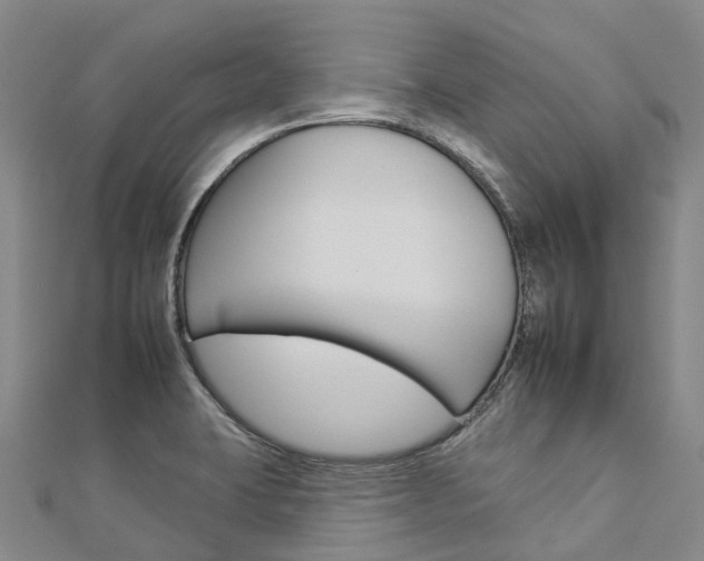 X0000112931423200908241043