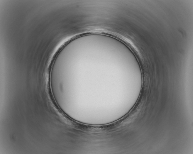 X0000112931424200908241044