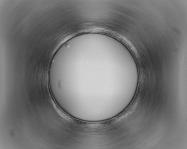 X0000112931425200908241044