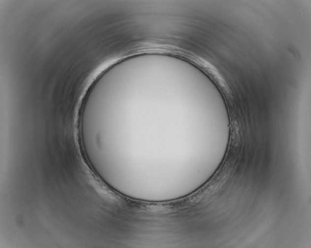 X0000112931427200908241044