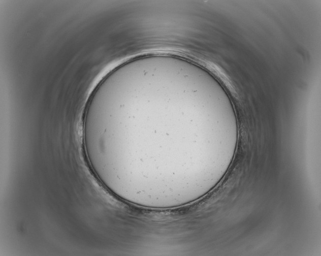 X0000112931428200908241044
