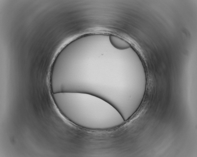 X0000112931429200908241044