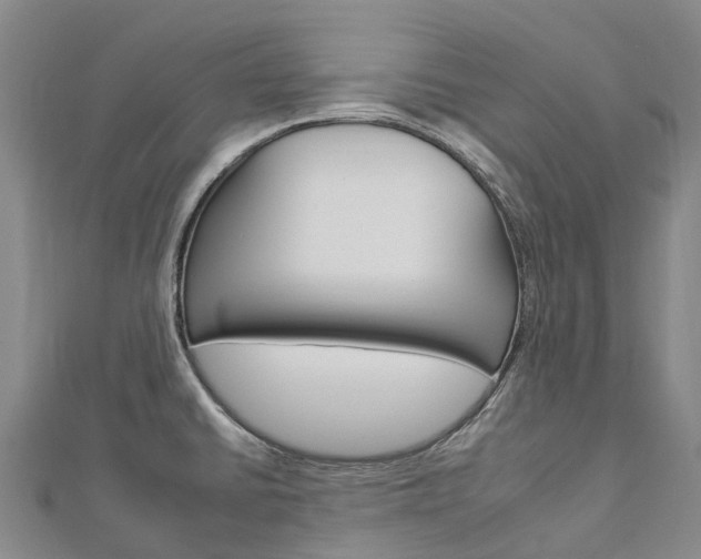X0000112931430200908241044