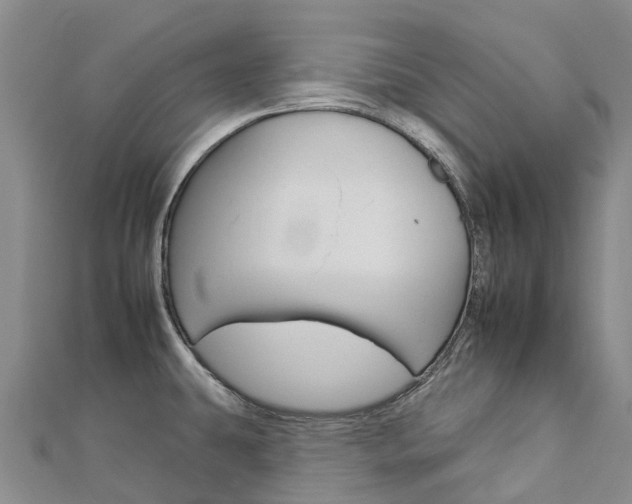 X0000112931431200908241044