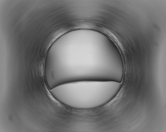 X0000112931433200908241044