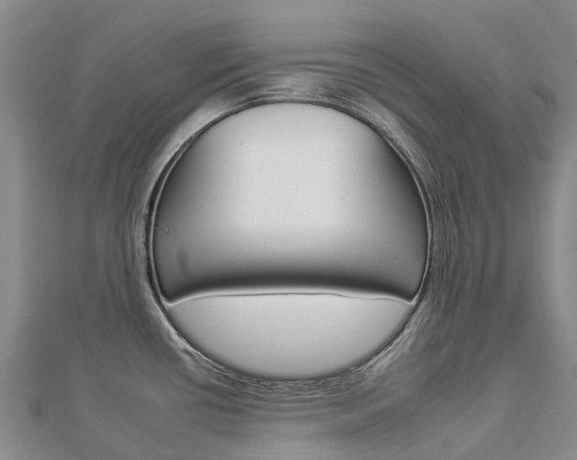 X0000112931434200908241044